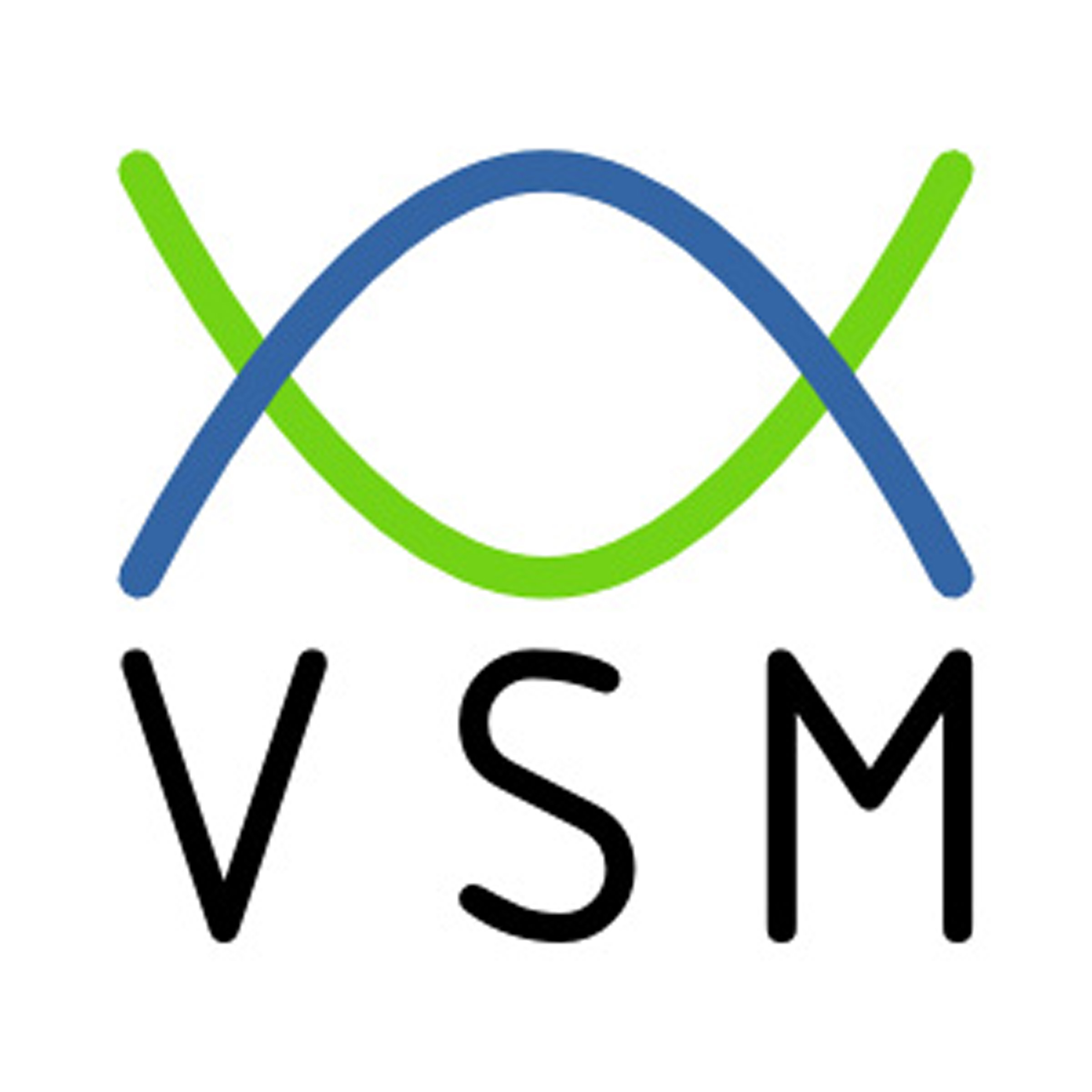 VSM Training