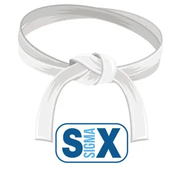  Lean Six Sigma White Belt 