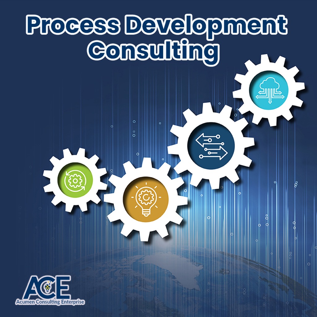 Process Development Consulting Services