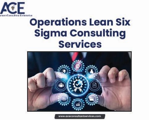 Operations Lean Six Sigma consulting services