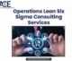 Operations Lean Six Sigma consulting services