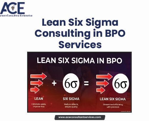 Lean Six Sigma Consulting in BPO services