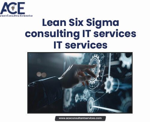 Lean Six Sigma Consulting IT Services
